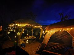 -春花秋色城市公园