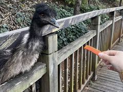 -昆明动物园