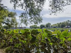 -长春市南湖公园