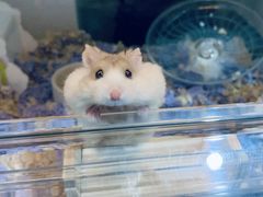 -博特宠物医院24h犬猫全科.骨科·异宠