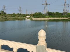 -大港湿地公园