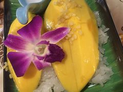-Jungle Kitchen