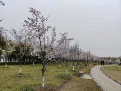 -阳澄湖半岛旅游度假区
