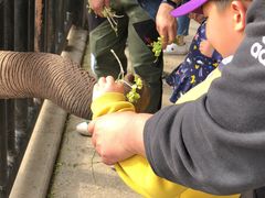 -鄂尔多斯野生动物园