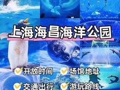 -上海海昌海洋公园