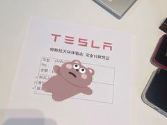 -TESLA 特斯拉(广州天环广场体验店)