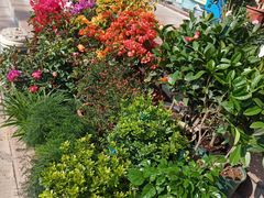 -爱尚鲜花店(粤通综合楼店)