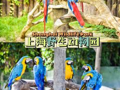 -上海野生动物园