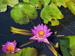 -中国客家博物馆