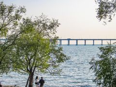 -宝安西湾红树林湿地公园