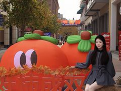 -王府井奥莱临潼小镇(临潼店)