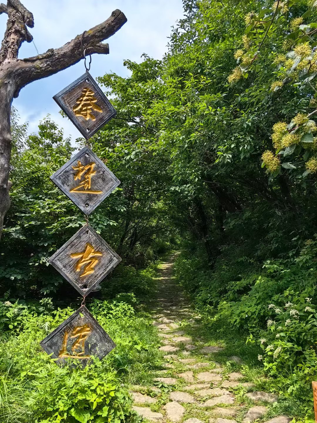 柞水秦楚古道景区电话图片