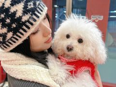 -和它·交个朋友·狗咖猫咖(爱琴海店)