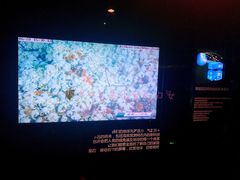 -同济大学四平路校区深海探索馆