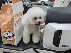 -帕帕拉兹宠物(亚洲旗舰店)