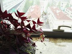 -陆汉斌打字机博物馆