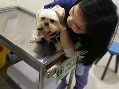-哆趣宠物医院·眼科·内镜·急重症转诊中心(上海店)