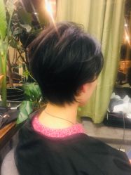 -V-STAR威斯达•高级私人定制