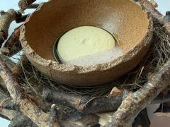 -翡翠36餐厅(浦东香格里拉店)