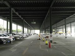 -上海植物园·停车场