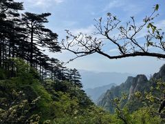 -黄山风景区