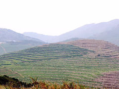 -嵛山岛