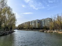 -三忘湖 SWANSEEN(柳荫公园店)