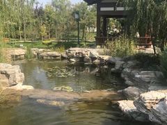 -武清南湖绿博园