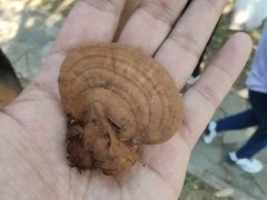 -北京宽沟会议中心