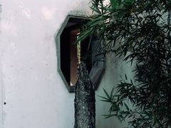 -拙政园
