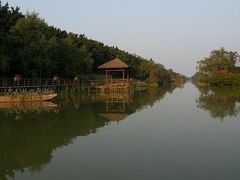 -大湾区中央湿地公园