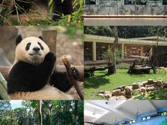 -杭州动物园