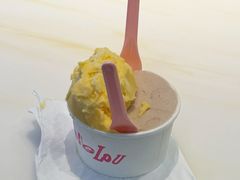 -红楼HONGLOU Gelato(淮海中路店)