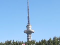 -龙塔