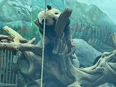 -武汉动物园