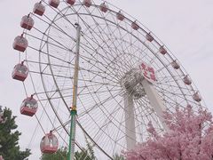 -东湖磨山景区