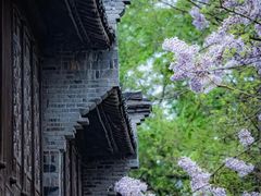-乌镇东栅景区