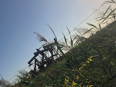 -盘锦红海温泉乐园