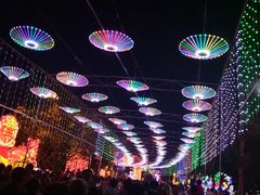 -万绿园