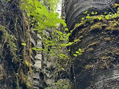 -梭布垭石林景区