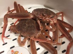 -苏大嘴海鲜牧场(奥林匹克店)