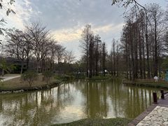 -佛冈森波拉度假区