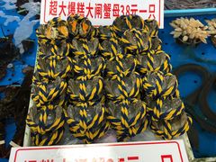 -大湾区中央湿地公园-十九涌
