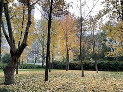 -塔子山公园