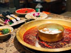 -Xiao Long Kan Hotpot Sydney 小龙坎老火锅