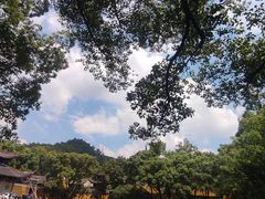-阿育王寺
