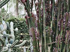 -南山植物园