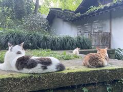 -法云安缦酒店
