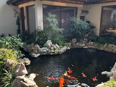 -鲤院·新中式美学·庭院餐厅(夫子庙店)