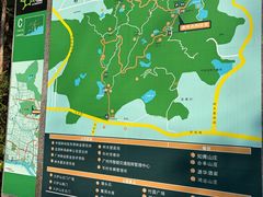 -火炉山森林公园